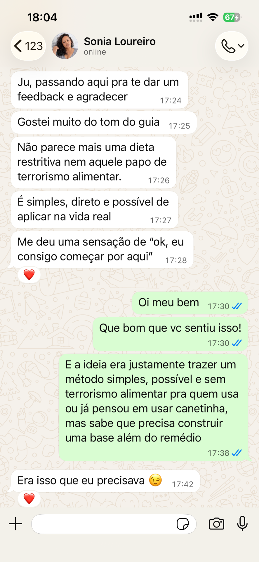 Print de conversa — Sonia Loureiro sobre o guia Depois da Canetinha